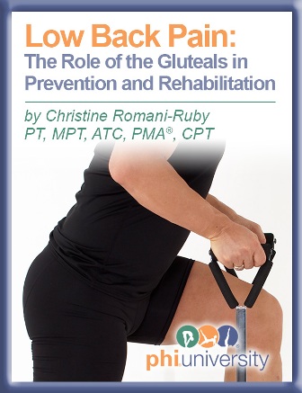 Low Back Pain The Role of the Gluteals in Prevention and Rehabilitation