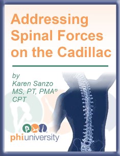 SpinalForceadsmall.jpg